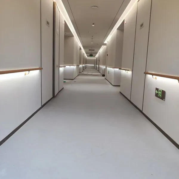 LED Corridor Handrail, Wall-mounted Handrail for Nursing Homes, Passage Handrail photo-4