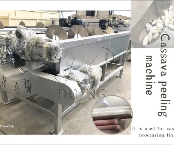 96% Peeling Rate Cassava Peeler Machine for Garri/Cassava Flour Production Cassava/Potato/Yam Peeling & Washing Machine photo-3