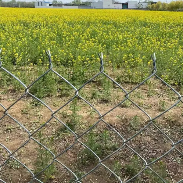 Customizable Chain Link Fence Replacement Panels Compatible With Existing Posts & Framework photo-2