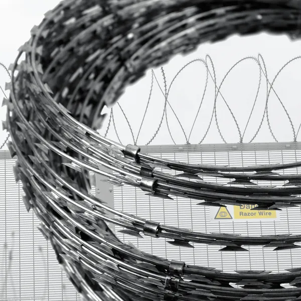 Q195 Electro-galvanized Iron Wire Coils, 25 cm in Diameter, 12 kg per Coil, Suitable for Farm Security Fencing.