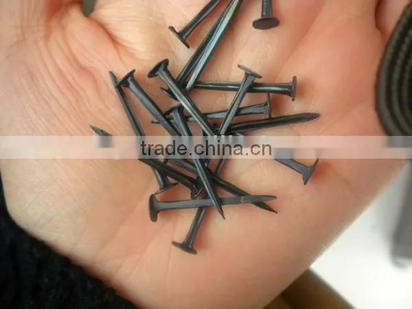 Shoe Nails Linyi the Lowest Price