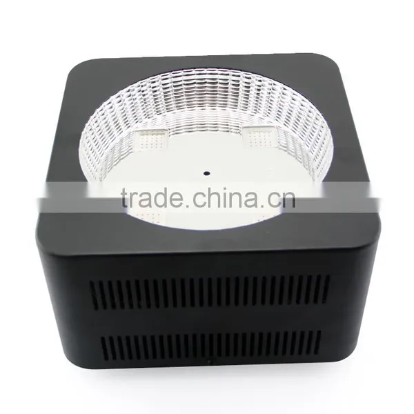 300W Full Spectrum Hydroponics COB Led Grow Light photo-2