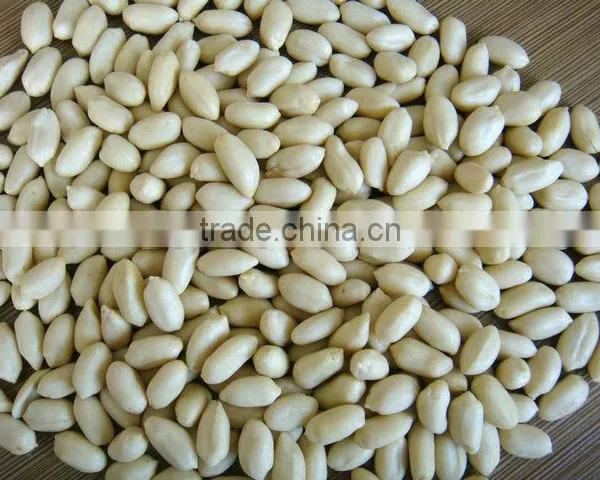 Ju'nan Country Best Quality Blanched Peanut 24/28 Size 25kg/ctn for Sale photo-4