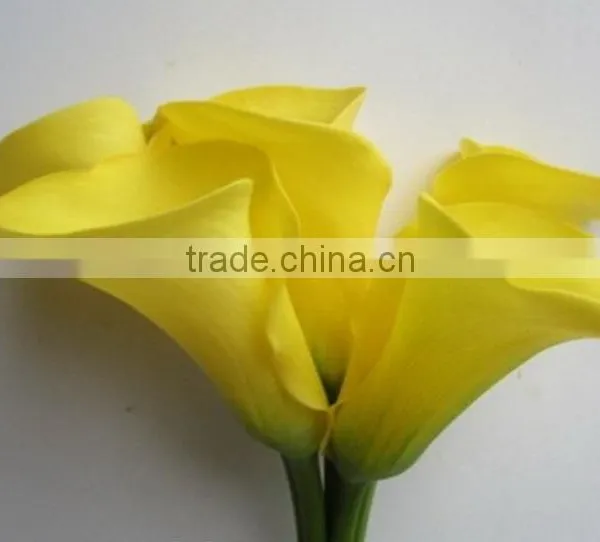 Cheap Wholesale High Quality Calla Lily From China Manufacture photo-3