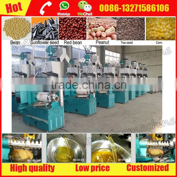 Professional Groundnut Oil Presser Machine With Big Profit photo-6
