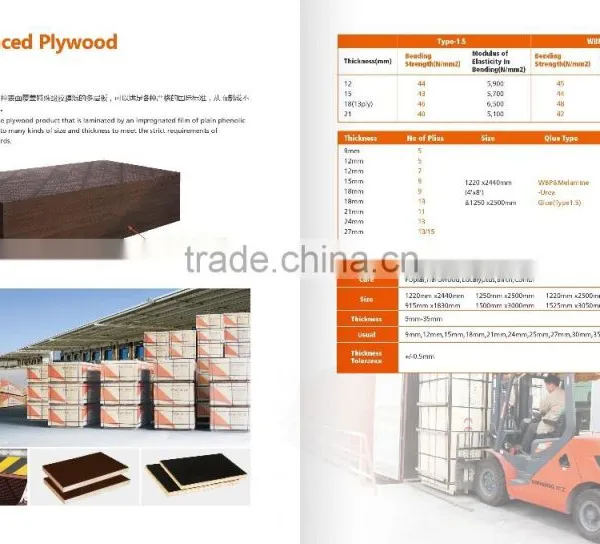 High Quality Quick Assembly Slab Formwork System With Ring Lock Scaffolding photo-5