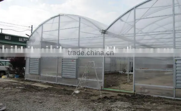 Export to Japan Agriclutural Polycarbonate Greenhouse photo-5