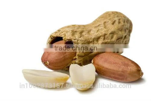 Peanuts