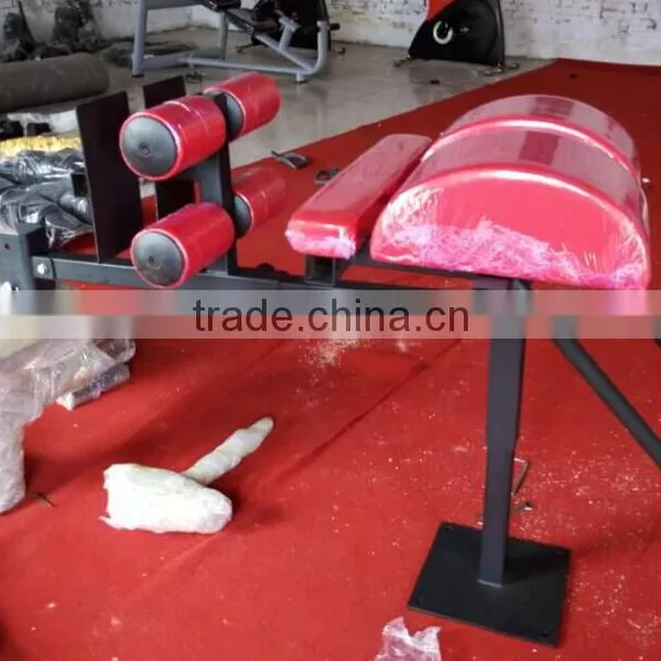Triangle GHD for Commercial Use Glute Ham Developer Back Hyperextension Bench photo-5