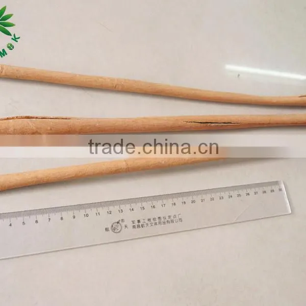 45 cm Cinnamon Stick