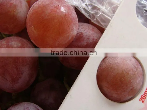 Crimson Grapes Supplier for Canada Market photo-6