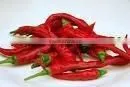 Dry Red Chili Sannam photo-5