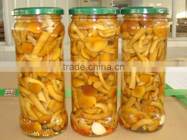 2014 New Crop Canned Marinated Nameko Mushrooms photo-5