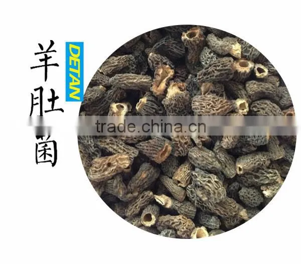 Frozen Processing Type Morels photo-6