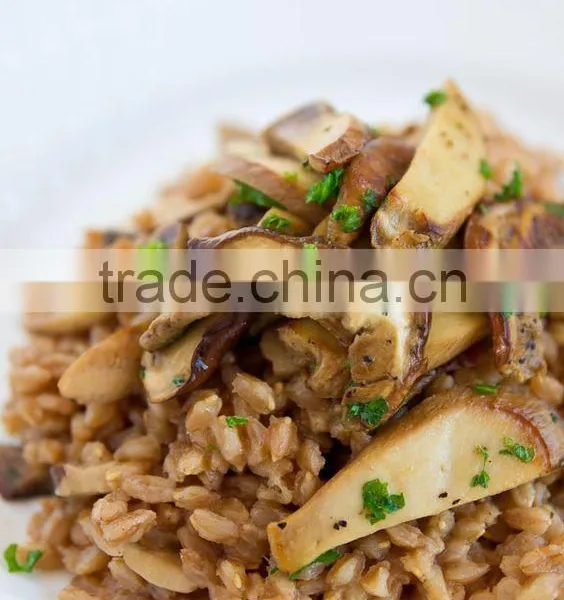 Detan Dried Porcini Mushrooms for Sale photo-4
