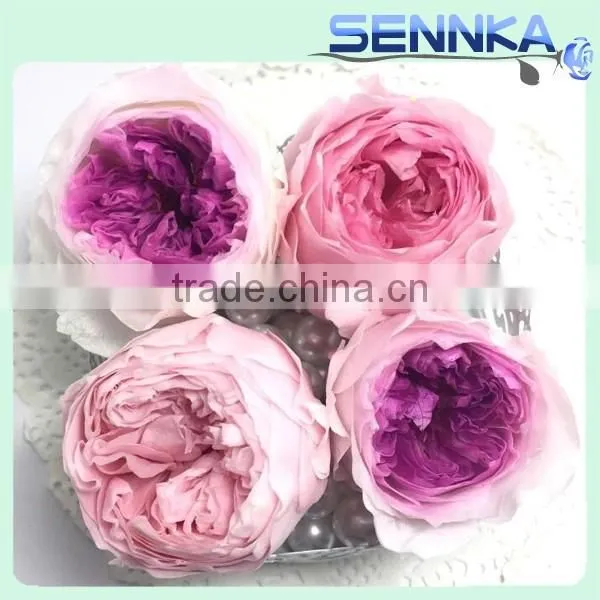 Fresh Cut Roses Preserved Fresh Flower Asuting Rose For Wedding Decoration photo-4