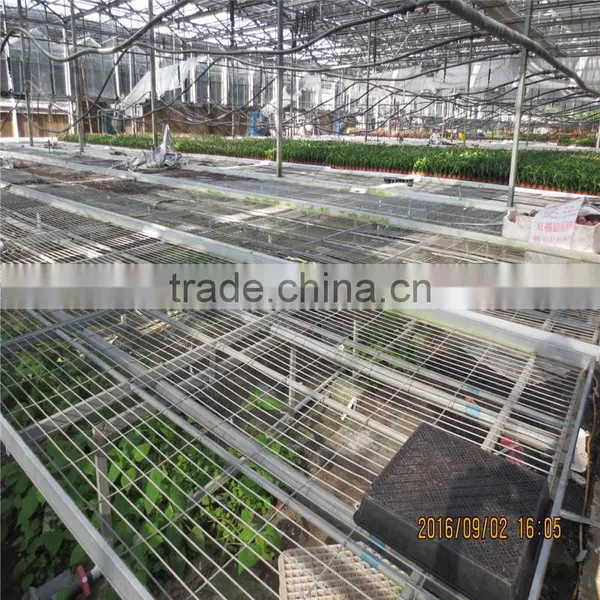 Agriculture Green House With Galvanized Steel Pipe photo-5