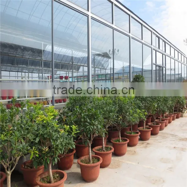 The Cheapest Hot Sale and Easily Installed Commercial Greenhouse photo-2