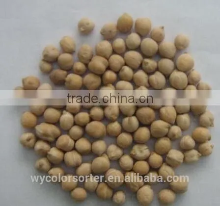 Chick Peas Color Sorting Machine From Anhui Wenyao photo-2