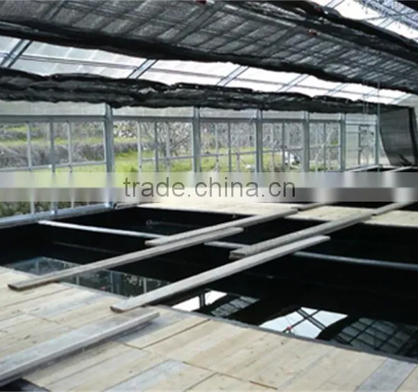Multi-Span Greenhouse With Aquaponics Growing Systems For Agricultural Planting photo-2