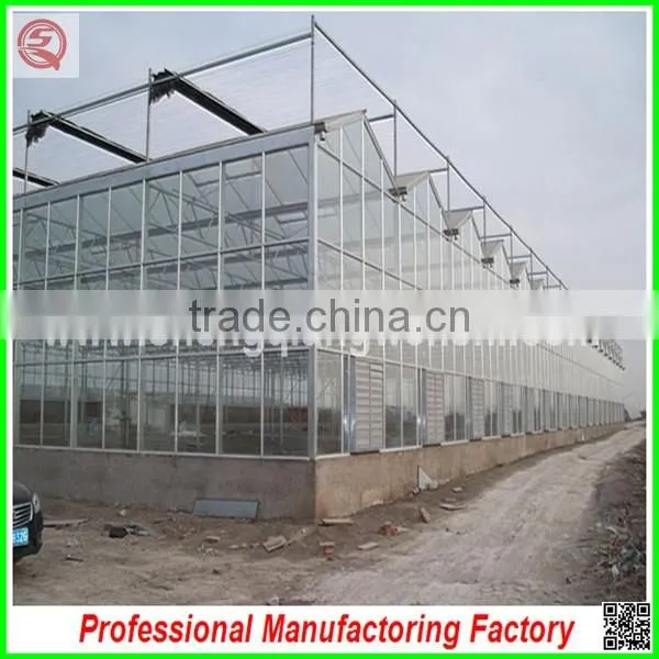 China Supplier Agriculture Farm Multi-span Glass Greenhouses for Hot Sale photo-3