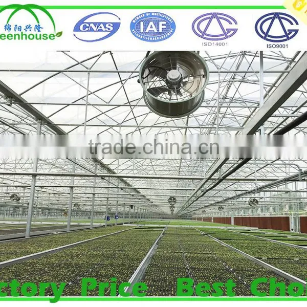 Agricultural Glass Greenhouse for Sale photo-5