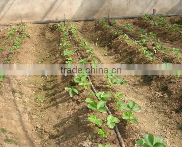 16mm High Quality Drip Irrigation Tape for Greenhouse photo-2