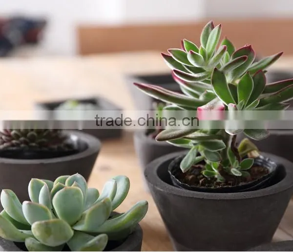 Simple Modern Flower Pot Design Planters Small Outdoor Garden photo-2