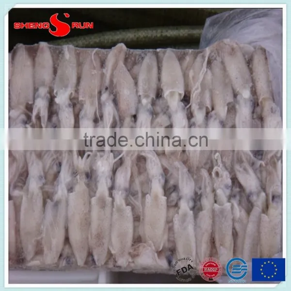 BQF Frozen Baby Loligo Squid photo-3