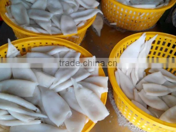 Frozen Tordarodes and Argentina Squid Tube U10,U5 photo-4