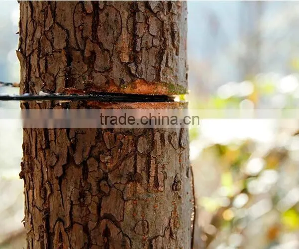 BD-350-1 High Limb Protable Pocket Hand Chainsaw photo-3