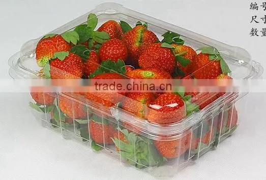 Disposable Packaging ;Vegetable Box ;Fruit Dish photo-3