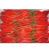 Sell Chinese Chilli