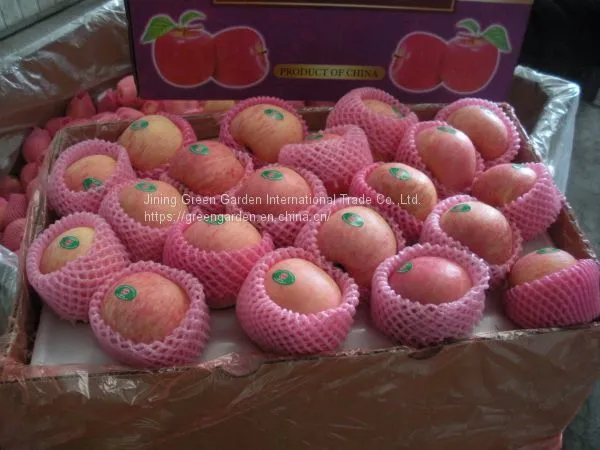 Chinese Fuji Apple photo-4