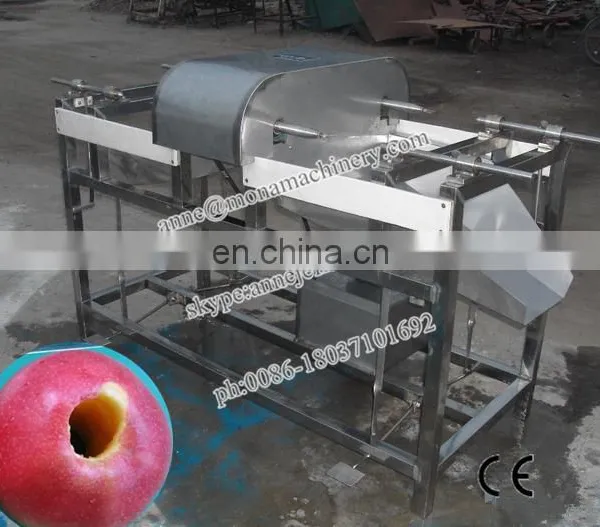 0086-18037101692 Fruit Peeling Machine_fruit Skin Remover_fruit and Vegetable Peeling Machine photo-4