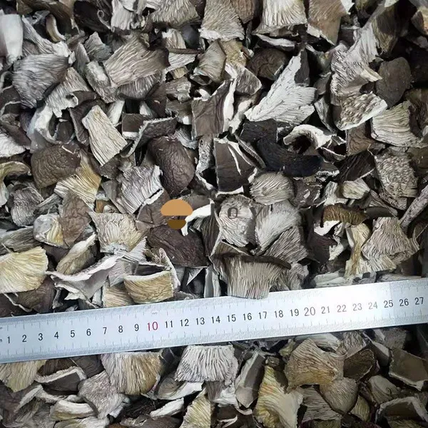 Dehydrated Dried Oyster Mushroom Pleurotus Ostreatus