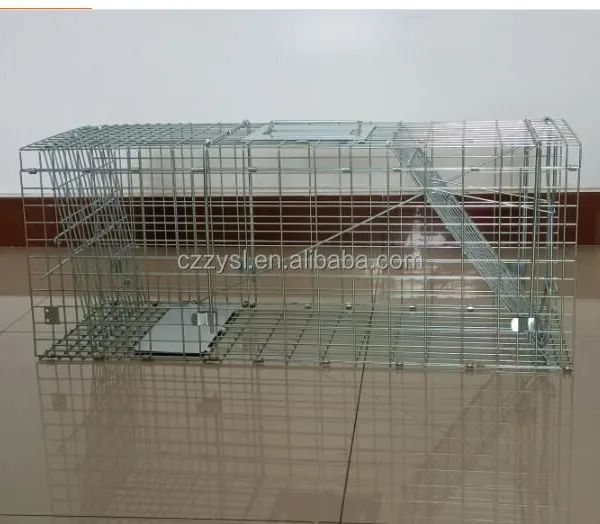Double Door Entry Collapsible Animal Trap Cage Possum Cat Folding Live Animal Cage Trap photo-6