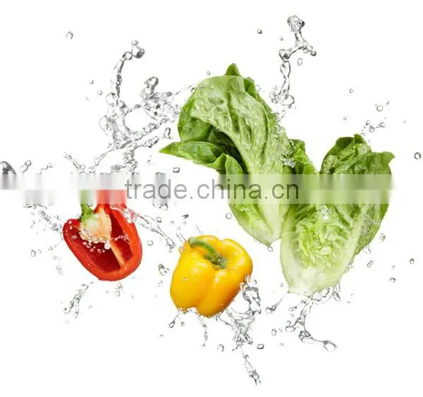 Full Automatic Vortex Washing Processing Machine photo-3