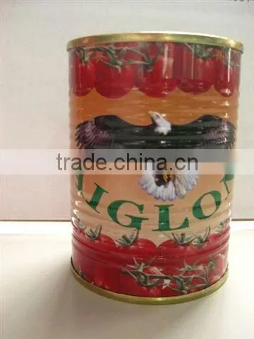 425G Tomato Paste to Tamato Sauce