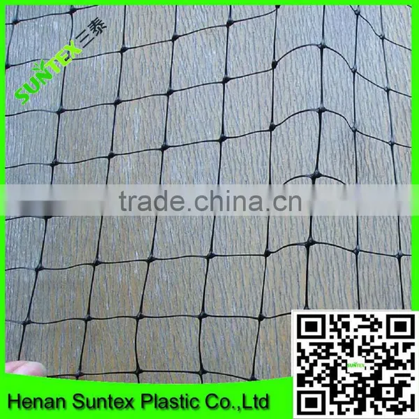 Climbing Mesh for Cucumber Plant or Breeding Bop Stretch Net With Cheap Price photo-3
