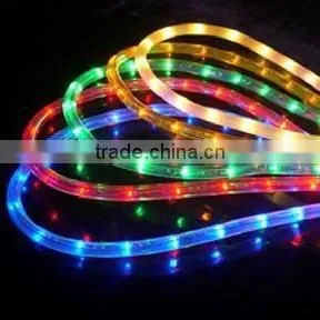 High Quality 2wires Led Rope Light photo-4