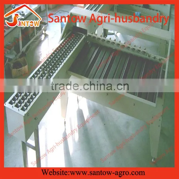 Carbon Steel Egg Weighing Sorting Machine photo-5