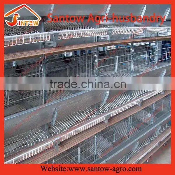 Stable Steel Structure Professional Chicken Egg Layer Cage Chicken Egg Layer House
