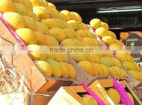 100% Fesh Chunsa Mango photo-2