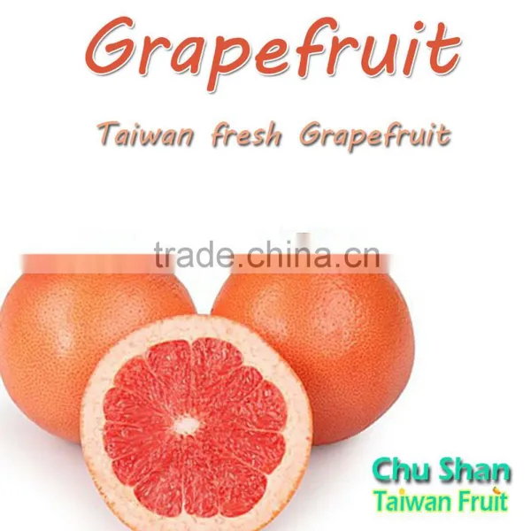 Taiwan Fresh High Quality Grapefruit