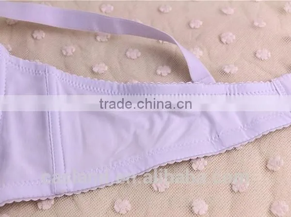 China Factory Essential Bra Plus Size Bra(CSM012) Quality Choice photo-5