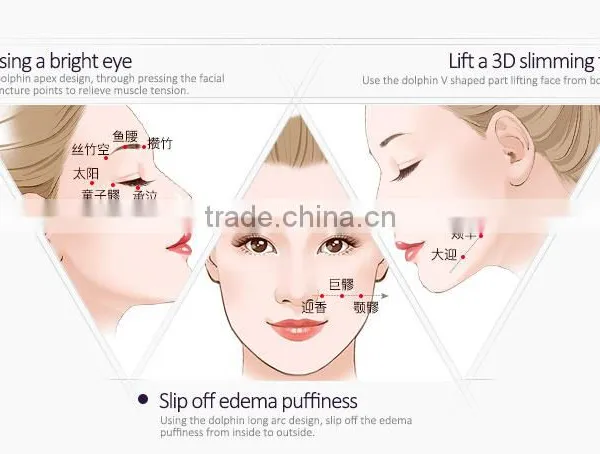 Facial Lifing USB Charging Facial Massage Tool Facial Slimming Tool photo-4