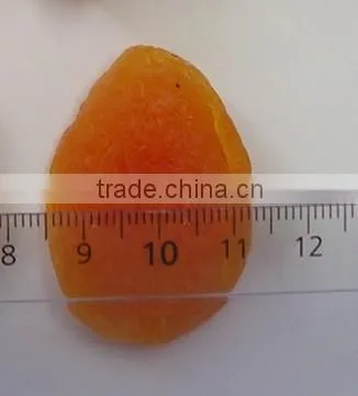 Chinese Dried Apricot photo-4