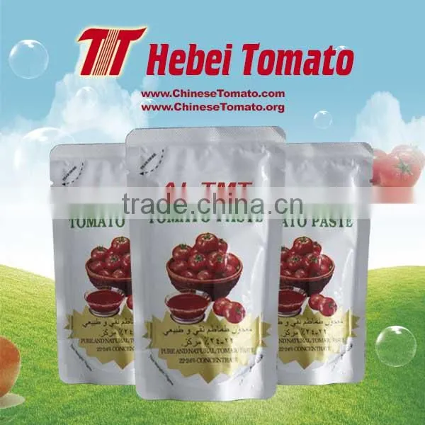 70g Tomato Paste Al Mudhish Standup in Box and Sachet Pouch Tomato Paste