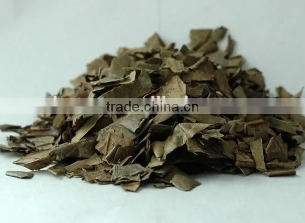 High Quality Loquat Leaf Extract Powder photo-3